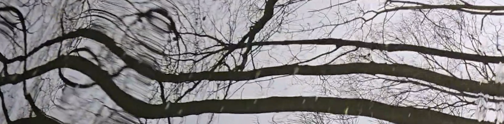 Reflectie in het kanaal