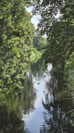 Kanaal na paaltje 50